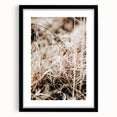 Farmhouse Wall Art Dry Grass Close-Up | Rustic Nature-Inspired Decor