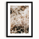 Farmhouse Wall Art Dry Grass Close-Up | Rustic Nature-Inspired Decor