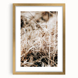 Farmhouse Wall Art Dry Grass Close-Up | Rustic Nature-Inspired Decor