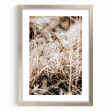 Farmhouse Wall Art Dry Grass Close-Up | Rustic Nature-Inspired Decor