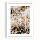 Farmhouse Wall Art Dry Grass Close-Up | Rustic Nature-Inspired Decor