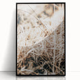 Farmhouse Wall Art Dry Grass Close-Up | Rustic Nature-Inspired Decor