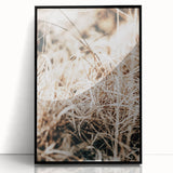 Farmhouse Wall Art Dry Grass Close-Up | Rustic Nature-Inspired Decor