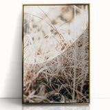 Farmhouse Wall Art Dry Grass Close-Up | Rustic Nature-Inspired Decor
