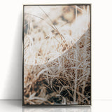 Farmhouse Wall Art Dry Grass Close-Up | Rustic Nature-Inspired Decor