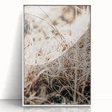 Farmhouse Wall Art Dry Grass Close-Up | Rustic Nature-Inspired Decor