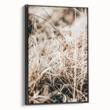 Farmhouse Wall Art Dry Grass Close-Up | Rustic Nature-Inspired Decor