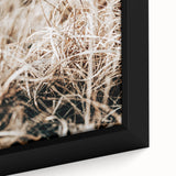 Farmhouse Wall Art Dry Grass Close-Up | Rustic Nature-Inspired Decor