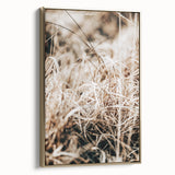 Farmhouse Wall Art Dry Grass Close-Up | Rustic Nature-Inspired Decor