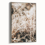 Farmhouse Wall Art Dry Grass Close-Up | Rustic Nature-Inspired Decor