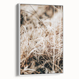 Farmhouse Wall Art Dry Grass Close-Up | Rustic Nature-Inspired Decor