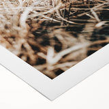 Farmhouse Wall Art Dry Grass Close-Up | Rustic Nature-Inspired Decor