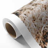 Farmhouse Wall Art Dry Grass Close-Up | Rustic Nature-Inspired Decor