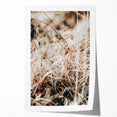 Farmhouse Wall Art Dry Grass Close-Up | Rustic Nature-Inspired Decor