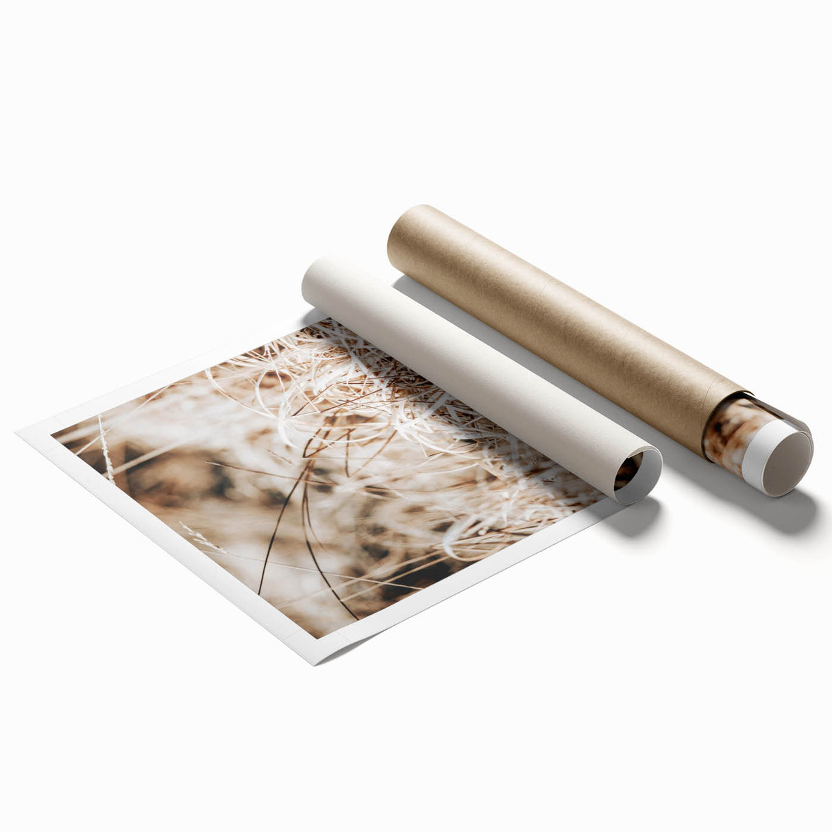 Farmhouse Wall Art Dry Grass Close-Up | Rustic Nature-Inspired Decor