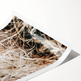 Farmhouse Wall Art Dry Grass Close-Up | Rustic Nature-Inspired Decor