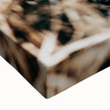 Farmhouse Wall Art Dry Grass Close-Up | Rustic Nature-Inspired Decor