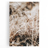 Farmhouse Wall Art Dry Grass Close-Up | Rustic Nature-Inspired Decor