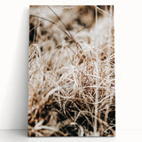 Farmhouse Wall Art Dry Grass Close-Up | Rustic Nature-Inspired Decor