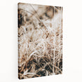 Farmhouse Wall Art Dry Grass Close-Up | Rustic Nature-Inspired Decor