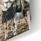 Charming Horse Duo Art - Rustic Farmhouse Wall Decor Print