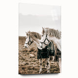 Charming Horse Duo Art - Rustic Farmhouse Wall Decor Print