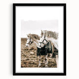 Charming Horse Duo Art - Rustic Farmhouse Wall Decor Print