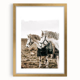 Charming Horse Duo Art - Rustic Farmhouse Wall Decor Print