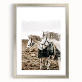 Charming Horse Duo Art - Rustic Farmhouse Wall Decor Print