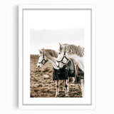 Charming Horse Duo Art - Rustic Farmhouse Wall Decor Print