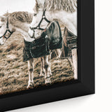 Charming Horse Duo Art - Rustic Farmhouse Wall Decor Print