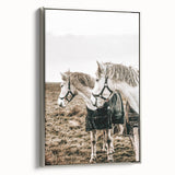Charming Horse Duo Art - Rustic Farmhouse Wall Decor Print