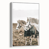 Charming Horse Duo Art - Rustic Farmhouse Wall Decor Print