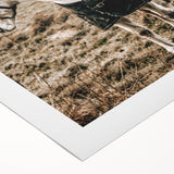 Charming Horse Duo Art - Rustic Farmhouse Wall Decor Print