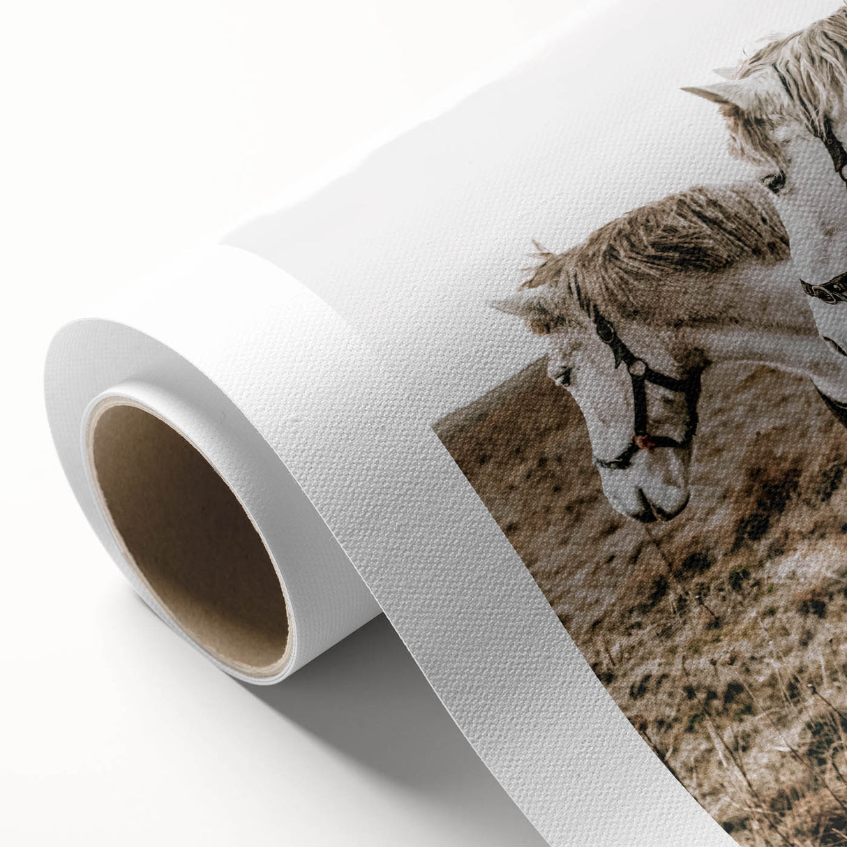 Charming Horse Duo Art - Rustic Farmhouse Wall Decor Print