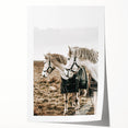 Charming Horse Duo Art - Rustic Farmhouse Wall Decor Print