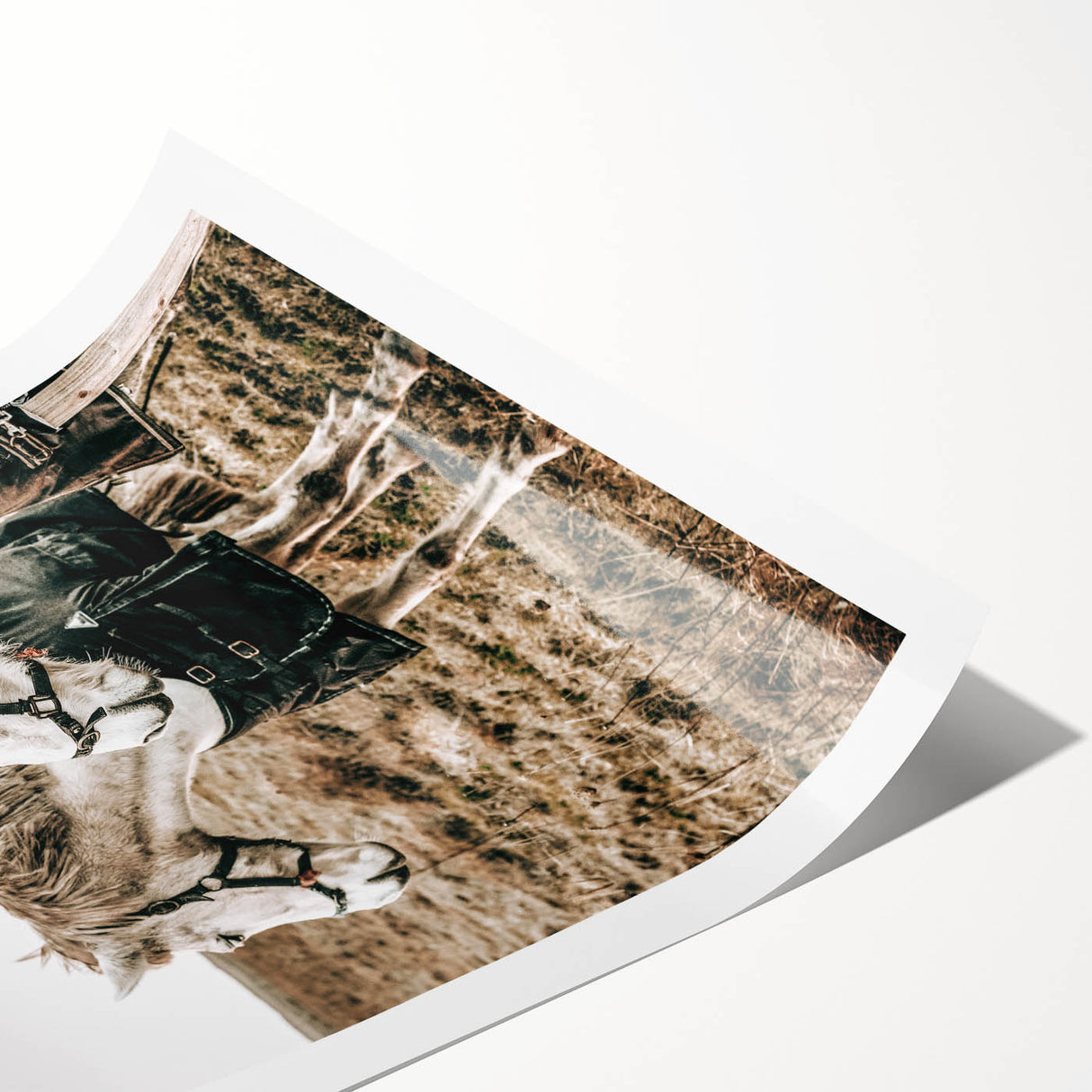 Charming Horse Duo Art - Rustic Farmhouse Wall Decor Print