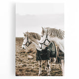 Charming Horse Duo Art - Rustic Farmhouse Wall Decor Print