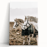 Charming Horse Duo Art - Rustic Farmhouse Wall Decor Print