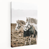 Charming Horse Duo Art - Rustic Farmhouse Wall Decor Print