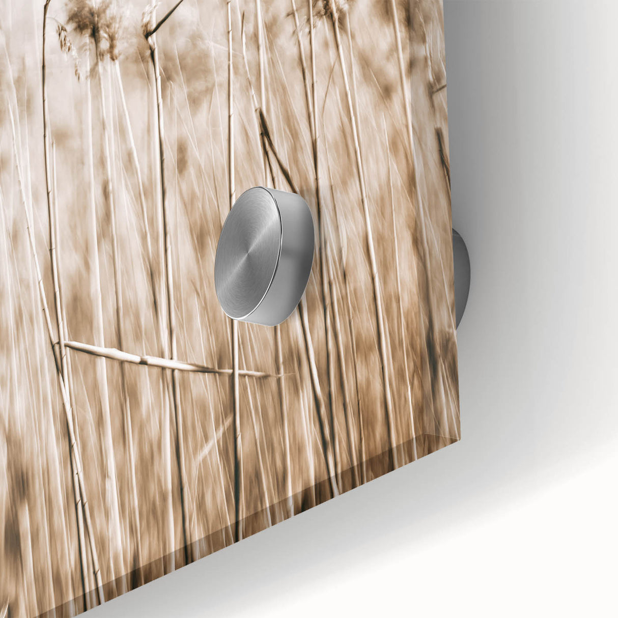 Wild Grass Field Art - Rustic Farmhouse Nature Wall Decor Print