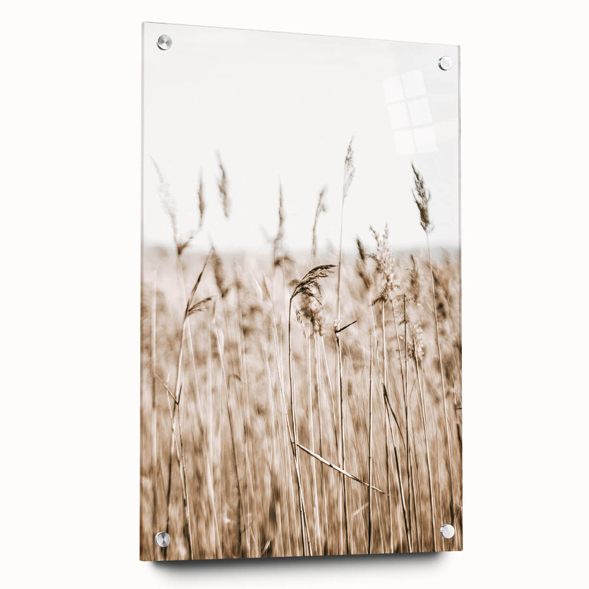 Wild Grass Field Art - Rustic Farmhouse Nature Wall Decor Print