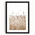 Wild Grass Field Art - Rustic Farmhouse Nature Wall Decor Print
