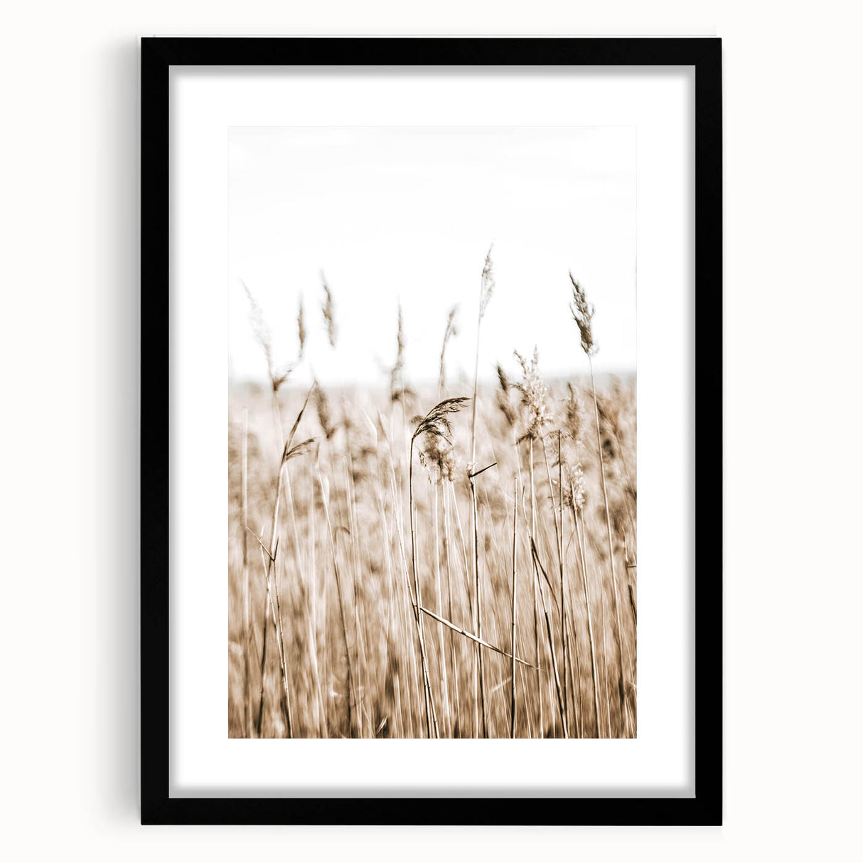 Wild Grass Field Art - Rustic Farmhouse Nature Wall Decor Print