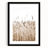 Wild Grass Field Art - Rustic Farmhouse Nature Wall Decor Print