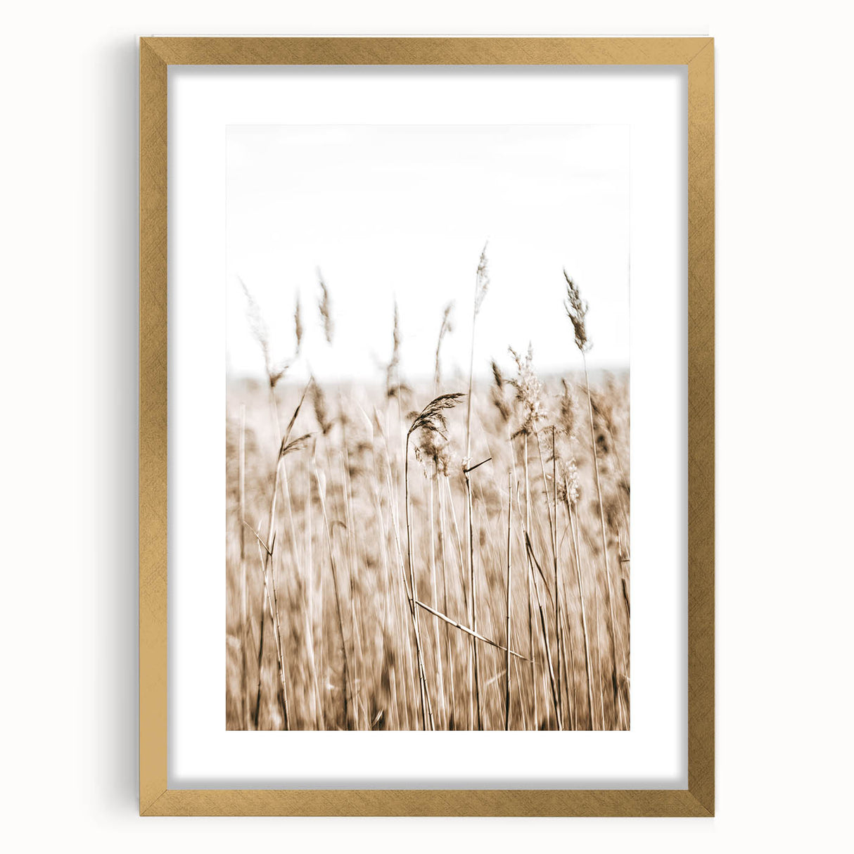 Wild Grass Field Art - Rustic Farmhouse Nature Wall Decor Print