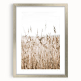 Wild Grass Field Art - Rustic Farmhouse Nature Wall Decor Print