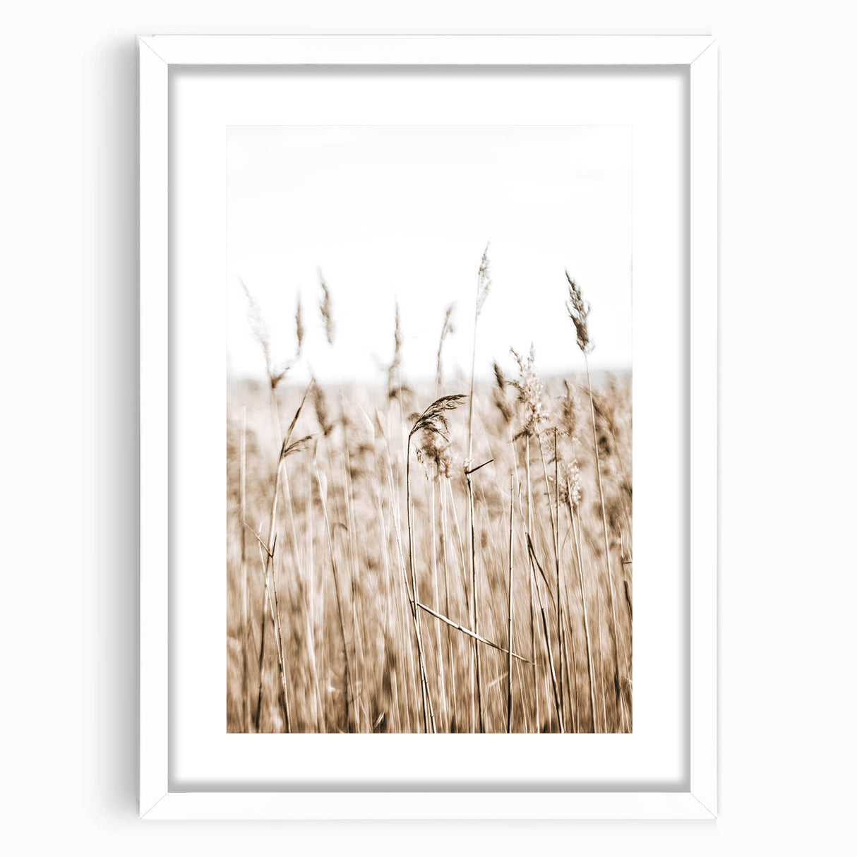 Wild Grass Field Art - Rustic Farmhouse Nature Wall Decor Print