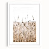 Wild Grass Field Art - Rustic Farmhouse Nature Wall Decor Print