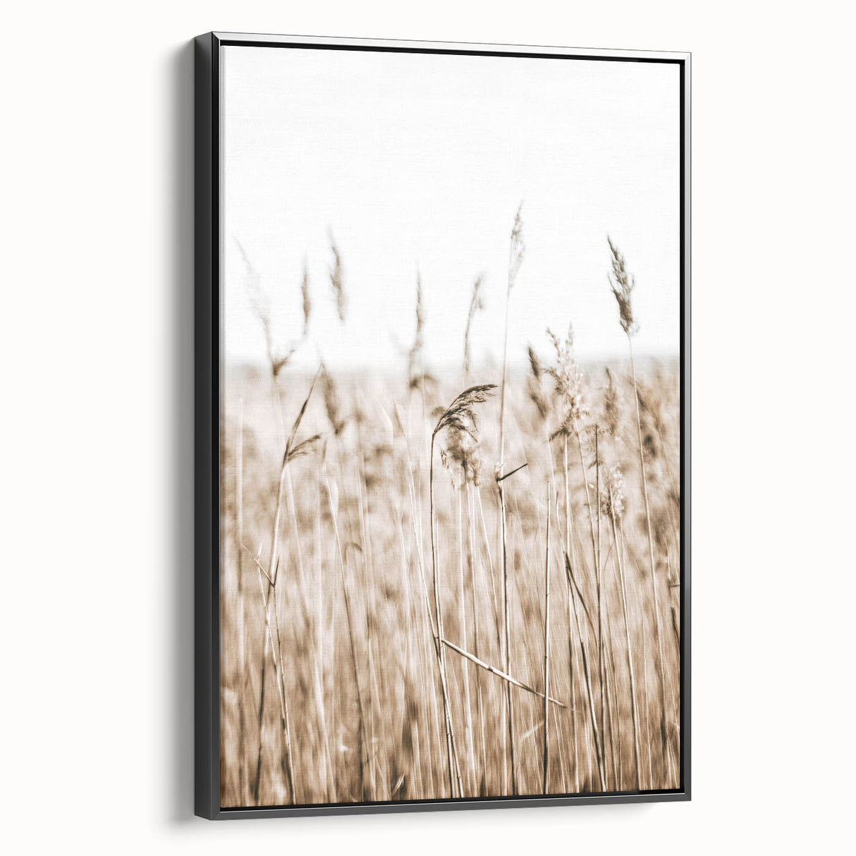 Wild Grass Field Art - Rustic Farmhouse Nature Wall Decor Print